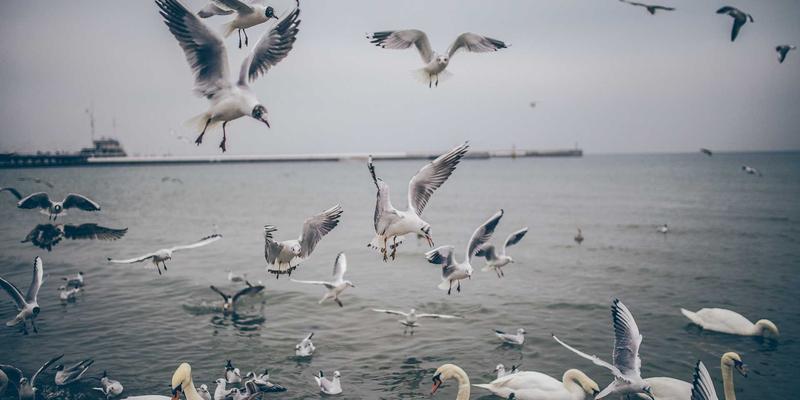 Docker市场现状和未来预测